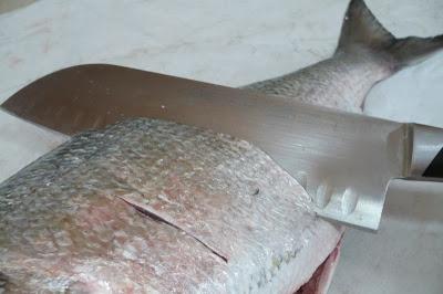 Dorada al horno con patatas panadera y tomates raf Dorada al horno con patatas panadera y tomates raf