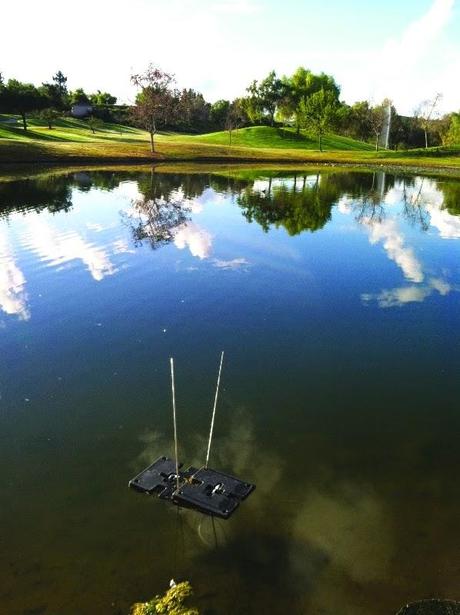 Sistema de control de algas (ACS) de RAIN BIRD Sistema de control de algas (ACS) de RAIN BIRD