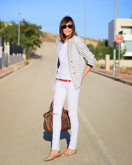 Navy + Snake Navy + Snake