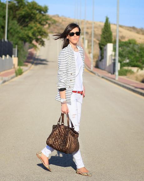 Navy + Snake Navy + Snake