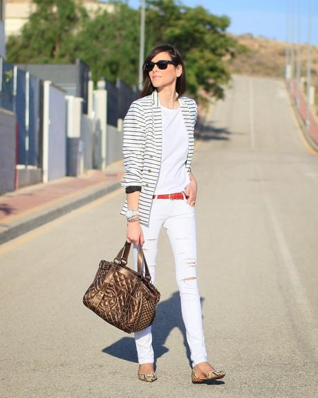 Navy + Snake Navy + Snake