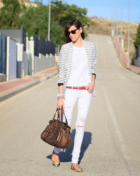 Navy + Snake Navy + Snake