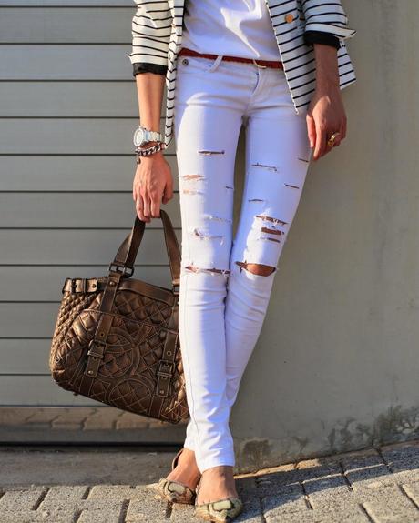 Navy + Snake Navy + Snake