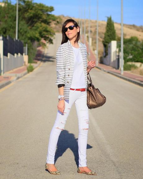 Navy + Snake Navy + Snake