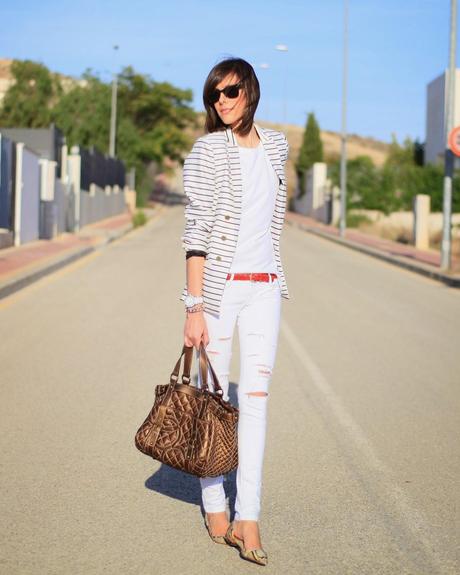 Navy + Snake Navy + Snake