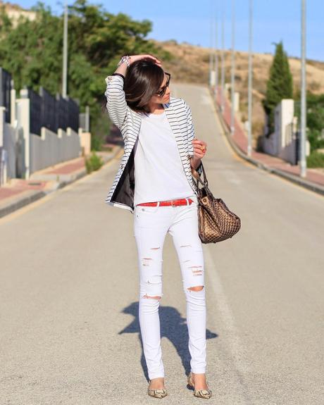 Navy + Snake Navy + Snake