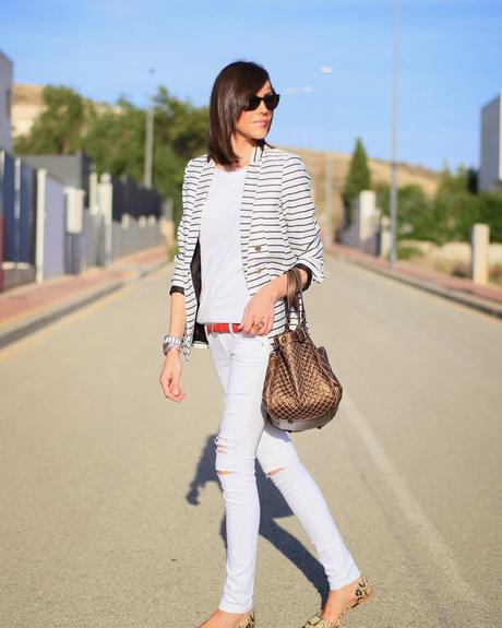 Navy + Snake Navy + Snake