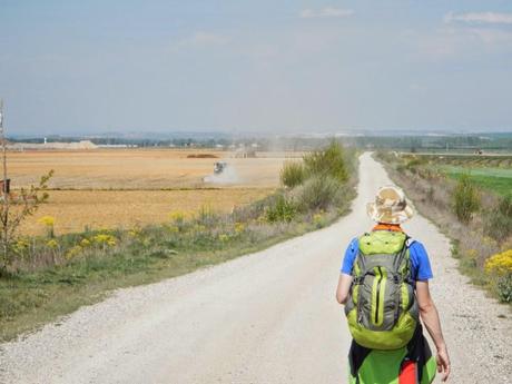 Camino de Santiago. De El Burgo Ranero a Mansilla de las Mulas por la Calzada Romana