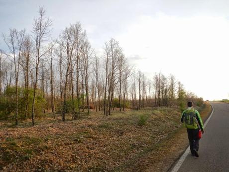 Camino de Santiago. De El Burgo Ranero a Mansilla de las Mulas por la Calzada Romana