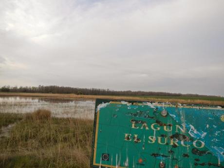 Camino de Santiago. De El Burgo Ranero a Mansilla de las Mulas por la Calzada Romana