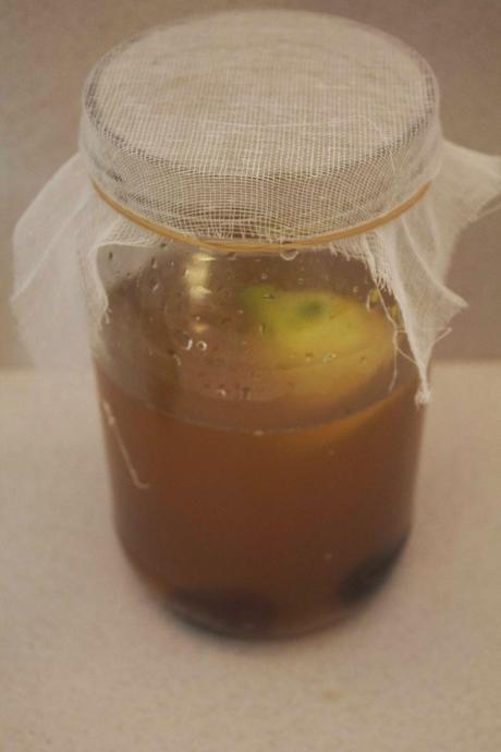 KEFIR DE AGUA KEFIR DE AGUA