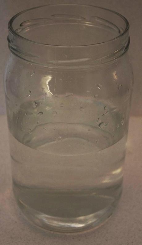 KEFIR DE AGUA KEFIR DE AGUA