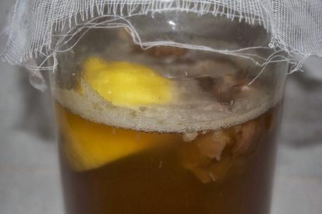 KEFIR DE AGUA KEFIR DE AGUA