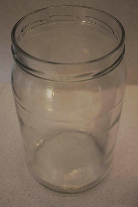 KEFIR DE AGUA KEFIR DE AGUA