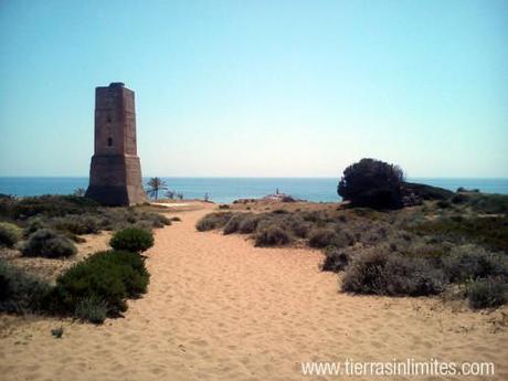 Torre Ladrones en Cabopino