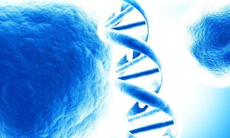 Crean un dispositivo que aísla las células cancerosas mas agresivas Crean un dispositivo que aísla las células cancerosas mas agresivas