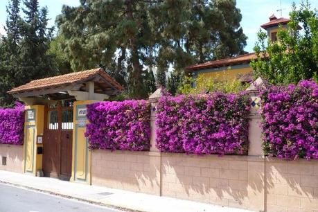 Restaurante Villa Amparo en Rocafort (Valencia), un placer para los sentidos