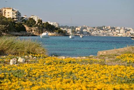 Técnica de relajación para pacientes: una herramienta para el estrés y la ansiedad. Illetes ( Mallorca) foto propia: un lugar que inspira relax