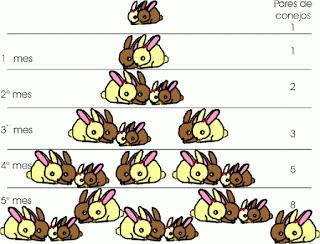 El número de Dios. Brevísima historia de la proporción áurea El número de Dios. Brevísima historia de la proporción áurea