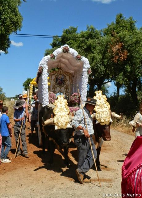 La hermandad en la Romería de la Divina Pastora de Aracena