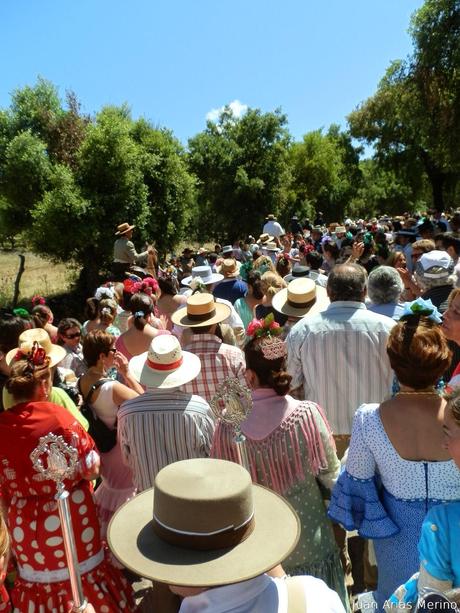 La hermandad en la Romería de la Divina Pastora de Aracena