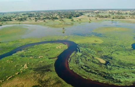 El curso del río Okavango