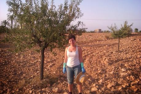 LA POESÍA ES UN ÁRBOL SIN HOJAS QUE DA SOMBRA