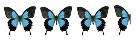 Conociendo a autores nuevos #5: Caminos Cruzados Conociendo a autores nuevos #5: Caminos Cruzados