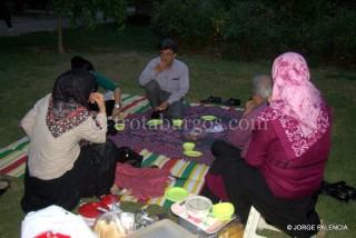 DÍA 12: VOLANDO A TEHERAN GENTE HACIENDO PICNIC EN UN PARQUE DE TEHERAN