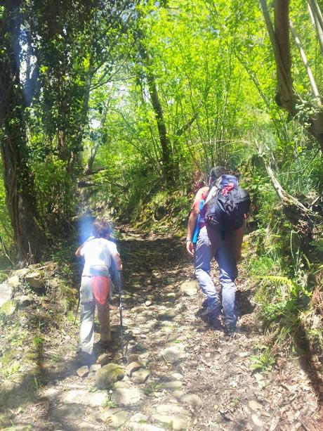 Regreso a PR- AS 235 Regreso a PR- AS 235