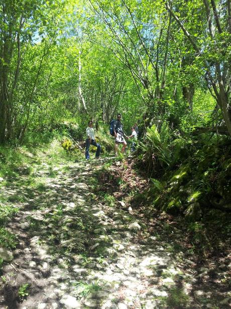 Regreso a PR- AS 235 Regreso a PR- AS 235