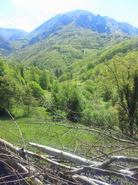 Regreso a PR- AS 235 Regreso a PR- AS 235