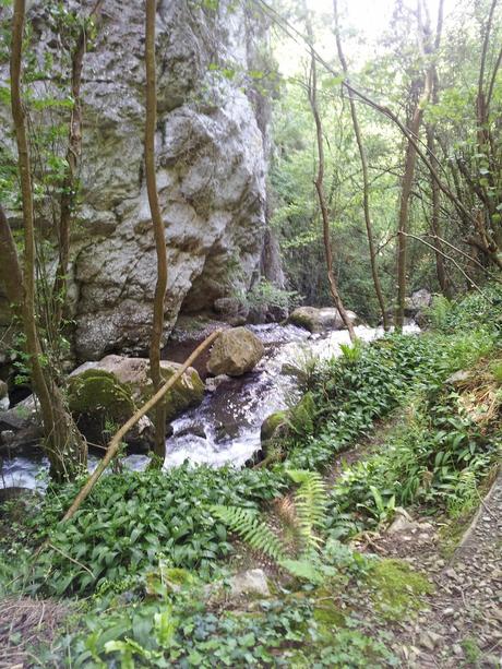 Regreso a PR- AS 235 Regreso a PR- AS 235