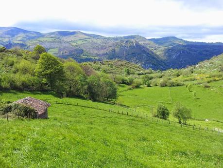 Regreso a PR- AS 235 Regreso a PR- AS 235