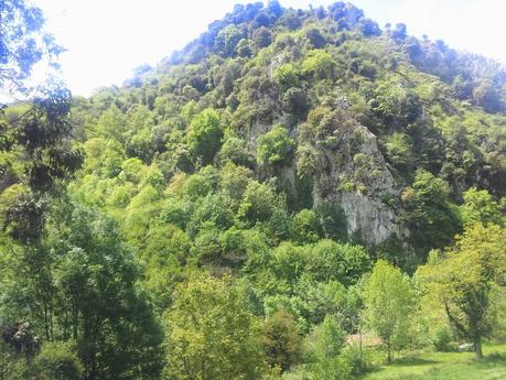 Regreso a PR- AS 235 Regreso a PR- AS 235