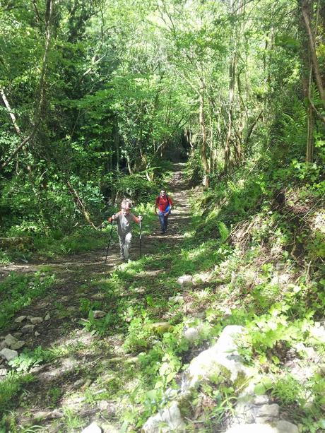 Regreso a PR- AS 235 Regreso a PR- AS 235