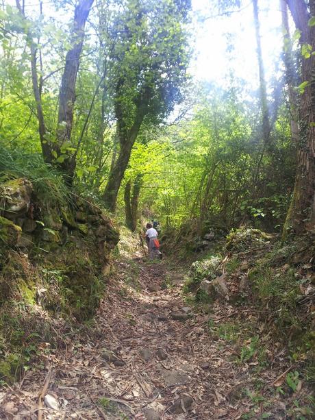 Regreso a PR- AS 235 Regreso a PR- AS 235