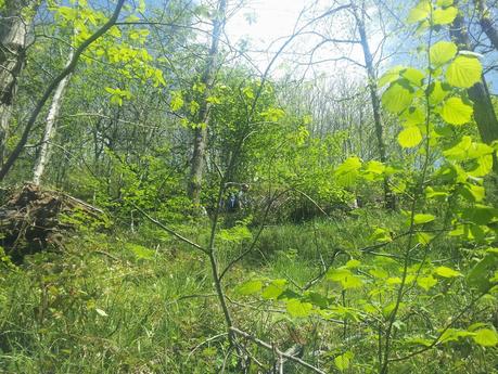 Regreso a PR- AS 235 Regreso a PR- AS 235