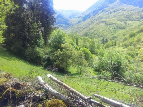 Regreso a PR- AS 235 Regreso a PR- AS 235