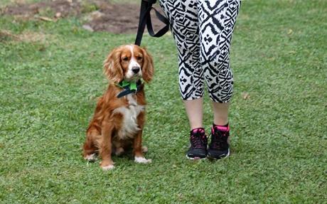 Mis Looks - Paseando con Ulises Mis Looks - Paseando con Ulises