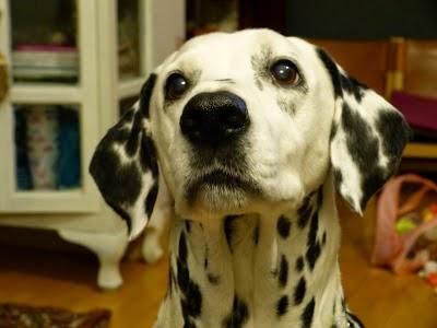 LOS REGALOS DE UN CUMPLE LOS REGALOS DE UN CUMPLE