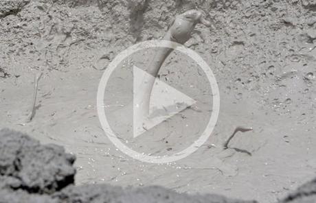 Manifestaciones volcánicas en Rincón de la Vieja Parque Nacional Rincón de la Vieja, en Costa Rica