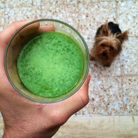 Tus mañanas también pueden ser verdes Tus mañanas también pueden ser verdes