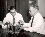 Albert Shatz y Selman Waksman