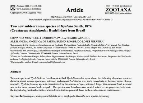 Nuevos anfípodos subterráneos de Brasil Nuevos anfípodos subterráneos de Brasil