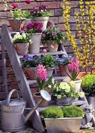 Ideas de cómo ubicar macetas en casa Ideas de cómo ubicar macetas en casa