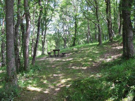 paraes asturianinos (9)