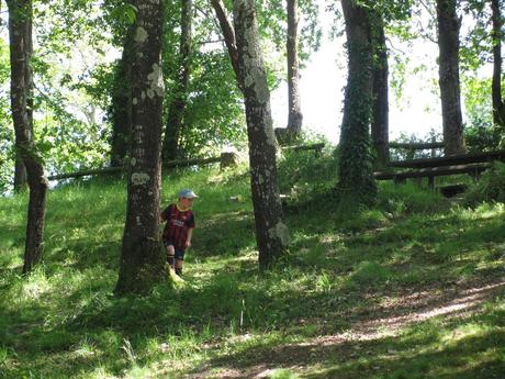 paraes asturianinos (6)