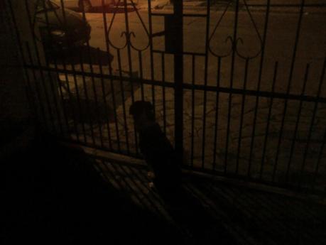 FELICIDAD, VIOLENTA FELICIDAD. FELICIDAD, VIOLENTA FELICIDAD.