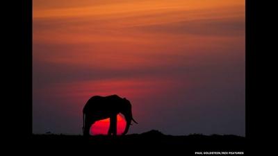 ojo chatarra: esas raras imágenes en stock photo ojo_chatarra41_100_zps4a7e0577.jpg